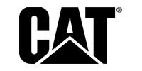 Caterpillar